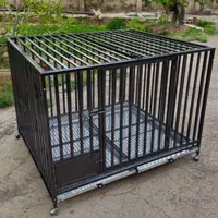 قفس حرفه ای سگ