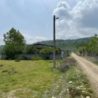 جنگلی-155متری-سند-دار