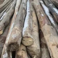 چوب چنار و تخته کوب