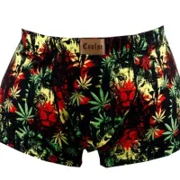 شورت مردانه