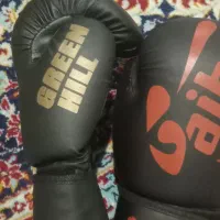 دستکش بوکس|تجهیزات ورزشی|تایباد, |دیوار