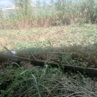 زمین متراز ۱۳۴ متر مربع مسکونی|فروش زمین و ملک کلنگی|رشت, خرسندی|دیوار