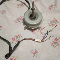 فن کولردوتیکه