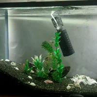 آکواریوم شیشه خم شرکتی معاوضه