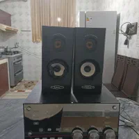 ظبط وباند