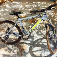 دوچرخه حرفه ای Racer