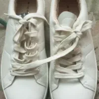 تعدادی کفش و کتانی اسپرت