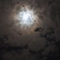 نیازمند منزل کارگری