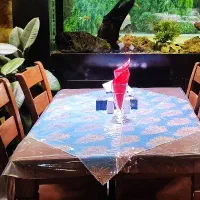 میزو صندلی چوب گردو رستورانی