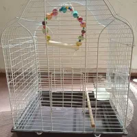 قفس برای پرنده
