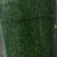 دلال ماست ونازخاتون آرد برنج سبزی خشک