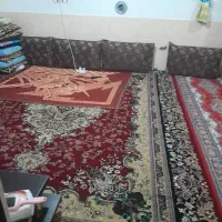 اجاره آپارتمان ۵۰ متر ۱ خواب طبقه ۲ بلوارشهیدوفایی|اجارهٔ آپارتمان|شیراز, شهدای شهرک سعدی|دیوار