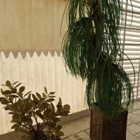 ۳ عدد گل مصنوعی