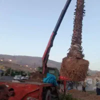 جرثقیل خاور|خدمات حمل و نقل|شیراز, شهرک امیر کبیر|دیوار