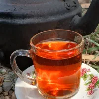 فروش بز دوقلوها 10روز که زاییده یع نر ویع ماده