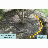 ابیاری قطره ای پدیده سبز