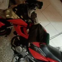 پالس 135|موتورسیکلت|مشهد, ایثارگران|دیوار