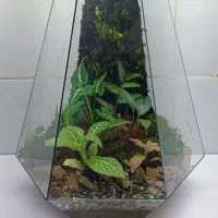 تراریوم چند وجهی با کیفیت بالا و ماندگاری بلند مدت