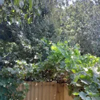 اجاره ی باغ ویلا مناسب سکونت و...|اجارهٔ خانه و ویلا|اندیشه, اندیشه فاز ۱|دیوار