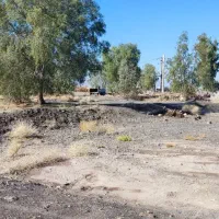 زمین|فروش دفتر صنعتی، کشاورزی، تجاری|بم, |دیوار