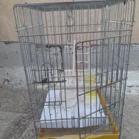 قفس بزرگ ۵۰در۳۳