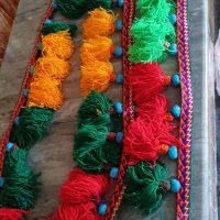 شیردنگ محلی زیبا|فرش|شوشتر, |دیوار