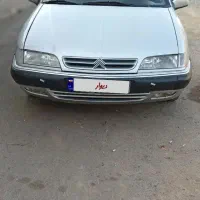 زانتیا وحشی 2000