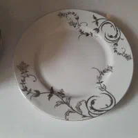 ظروف چینی