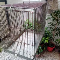 قفس سهره غلامی|لوازم جانبی حیوانات|رشت, توشیبا|دیوار