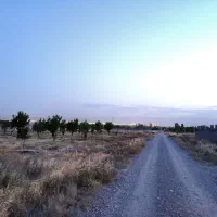 زمین باغی|فروش زمین و ملک کلنگی|مشهد, لقمانی|دیوار