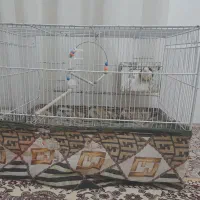 قفس شصت سانتی بزرگ