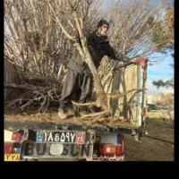 خریدار نهالهای چند ساله