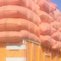 خریدار کاه عمده به قیمت بالا