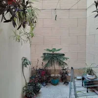 ۹۱ متر / فول امکانات / ۲ خواب|اجارهٔ آپارتمان|تهران, هفت حوض|دیوار