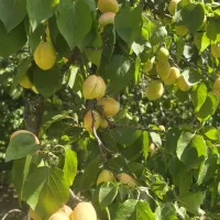 ساختمان3طبقه