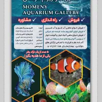 گالری آکواریوم مومنی