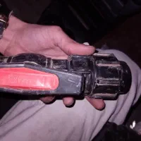 کبوتر|خزنده|جوکار, |دیوار