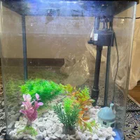 آکواریوم اکوا در حد نو