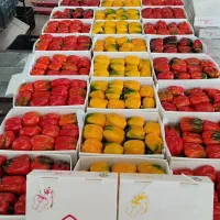 استخدام ادمین