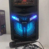 اسپیکر دارای رادیو و میکروفن