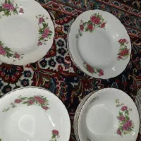 ظروف گل سرخی|ظروف سرو و پذیرایی|اراک, |دیوار