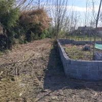 زمین باغی ۴۸۶ متری|فروش زمین و ملک کلنگی|لاهیجان, انقلاب|دیوار