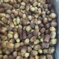 خرمای زاهدی|خوردنی و آشامیدنی|سقز, |دیوار