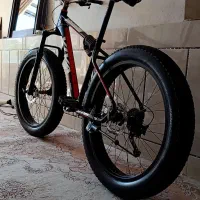 دوچرخه ساحلی ویوا