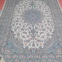 کار خانه قالی شویی طلاییه