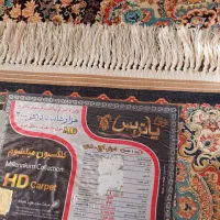 یه جفت فرش شبیه هم(یه۶ویه۹)۱۰۰۰شانه پاتریس|فرش|ورامین, ورامین|دیوار