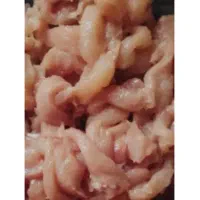 غذای سگ و گربه|لوازم جانبی حیوانات|رشت, بازار|دیوار