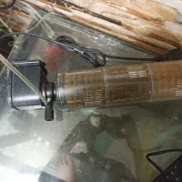 آکواریوم|لوازم جانبی حیوانات|پاکدشت, پاکدشت (مامازند)|دیوار