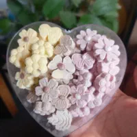 قندو نبات طعم دار و لوکس|خوردنی و آشامیدنی|بجنورد, |دیوار