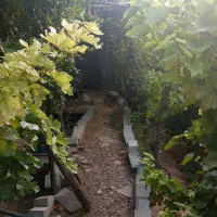 باغچه